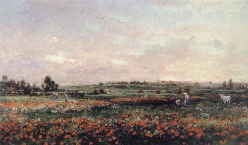 Charles Francois Daubigny Poppy Field Spain oil painting art